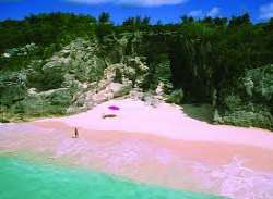 Harbor Island is famous for its pretty pink-sand b Harbor Island is famous for its pretty pink-sand beaches, exclusive resorts, pastel-hued buildings and high-end shopping. The Island also has untouche